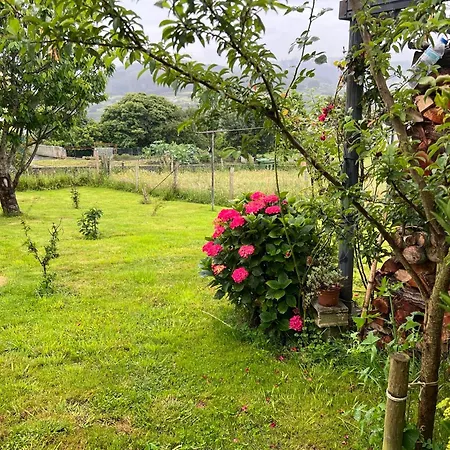 Apartment De Pascualin Con Jardin Privado En Ortigueira *
