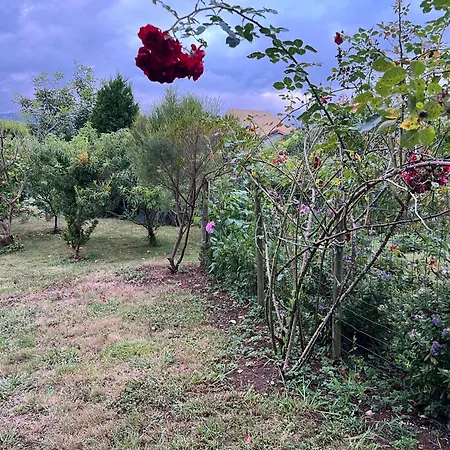 Appartement De Pascualin Con Jardin Privado En Ortigueira *