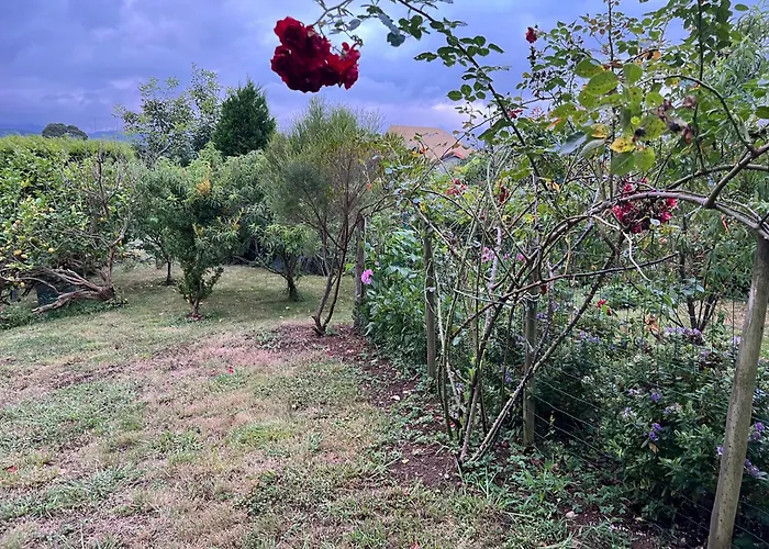 Appartamento De Pascualin Con Jardin Privado En Ortigueira *